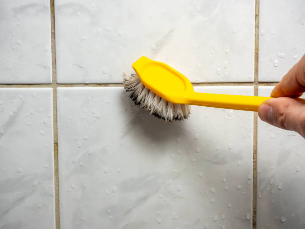 Best Certified Mold Removal  in Coarsegold, CA