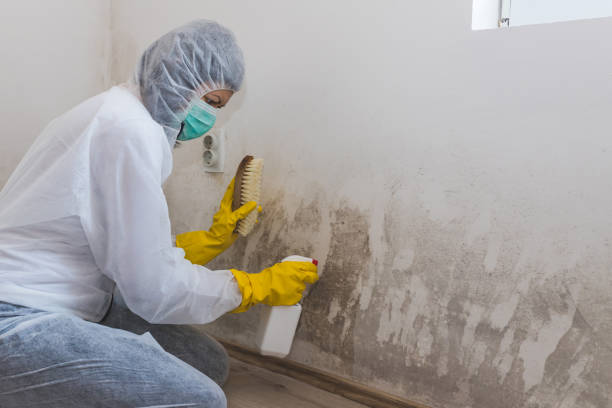 Best Mold Cleaning Services  in Coarsegold, CA