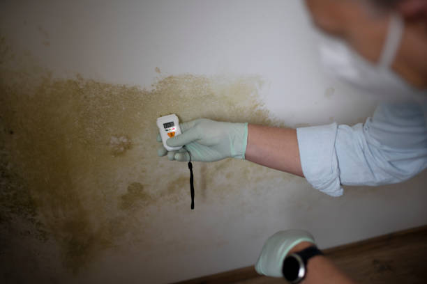 Best Residential Mold Removal  in Coarsegold, CA